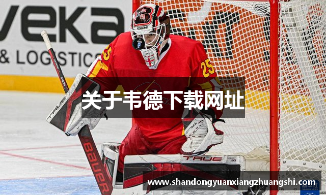 关于韦德下载网址